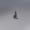 Surub autofiletant WINSCREW, PH2, 4.2x20