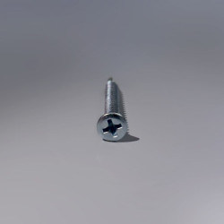 Surub autoforant  WINSCREW, PH2, no ribs,  2point, cap inecat - Dimensiune: 3.9x19 mm.