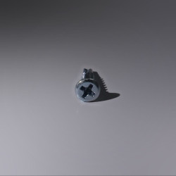 Surub autoforant  WINSCREW, PH2, no ribs,  2point, cap inecat - Dimensiune: 3.9x16 mm.